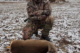 Deer stalking allows the perfect opportunity to test new knife designs and materials