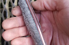 Slim and light drop-point hunter/utility knife in 14C28N and canvas micarta